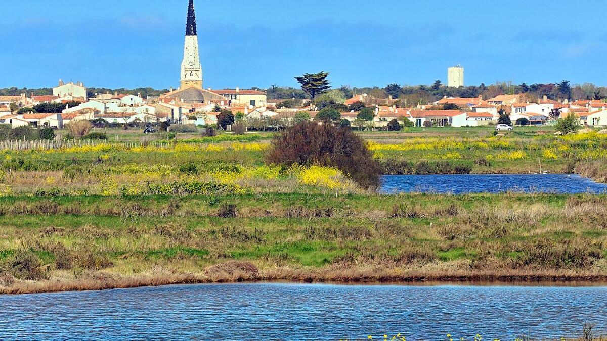Sur l’île de Ré, découvrez ce **plus beau village de France**, un port authentique qui sent bon l’été