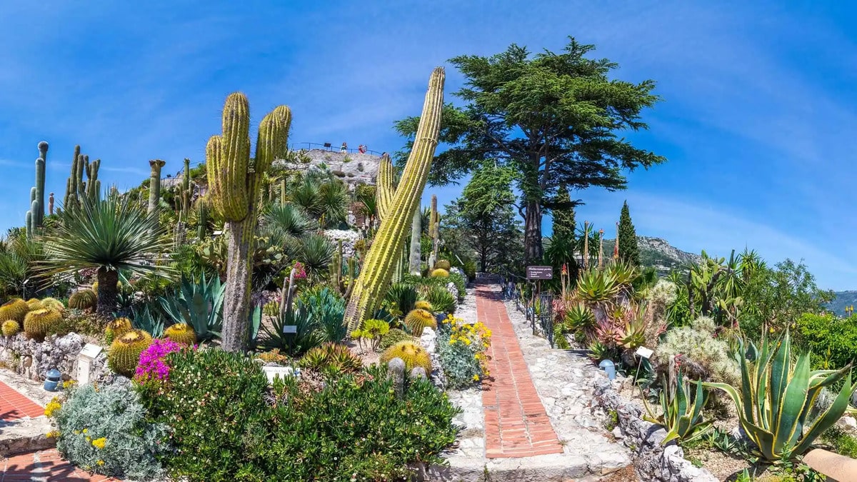 La seule crique de la Côte d’Azur accessible par un sentier botanique au milieu des agaves