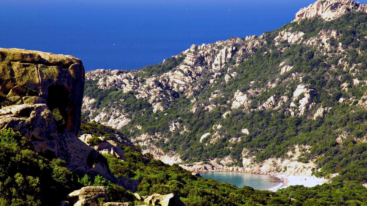 La crique la plus « instagrammable » de Corse, avec son rocher en forme de lion 