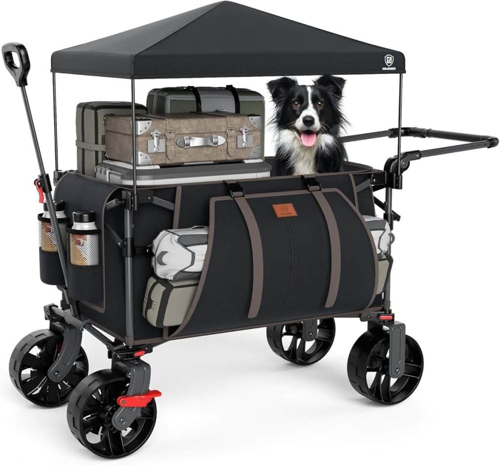 Test du chariot de plage pliable XXL Ever Advanced