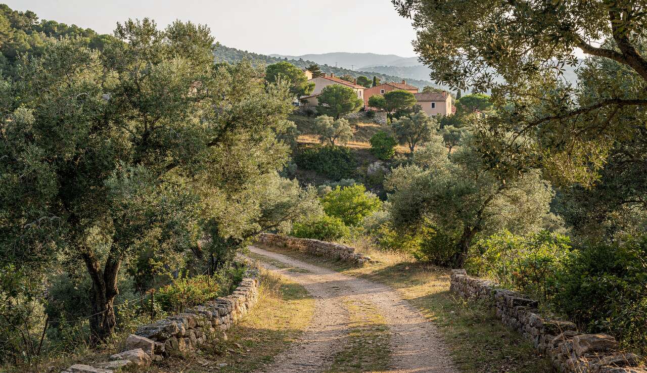 S'évader sur les sentiers pittoresques de carros S'évader sur les sentiers pittoresques de carros