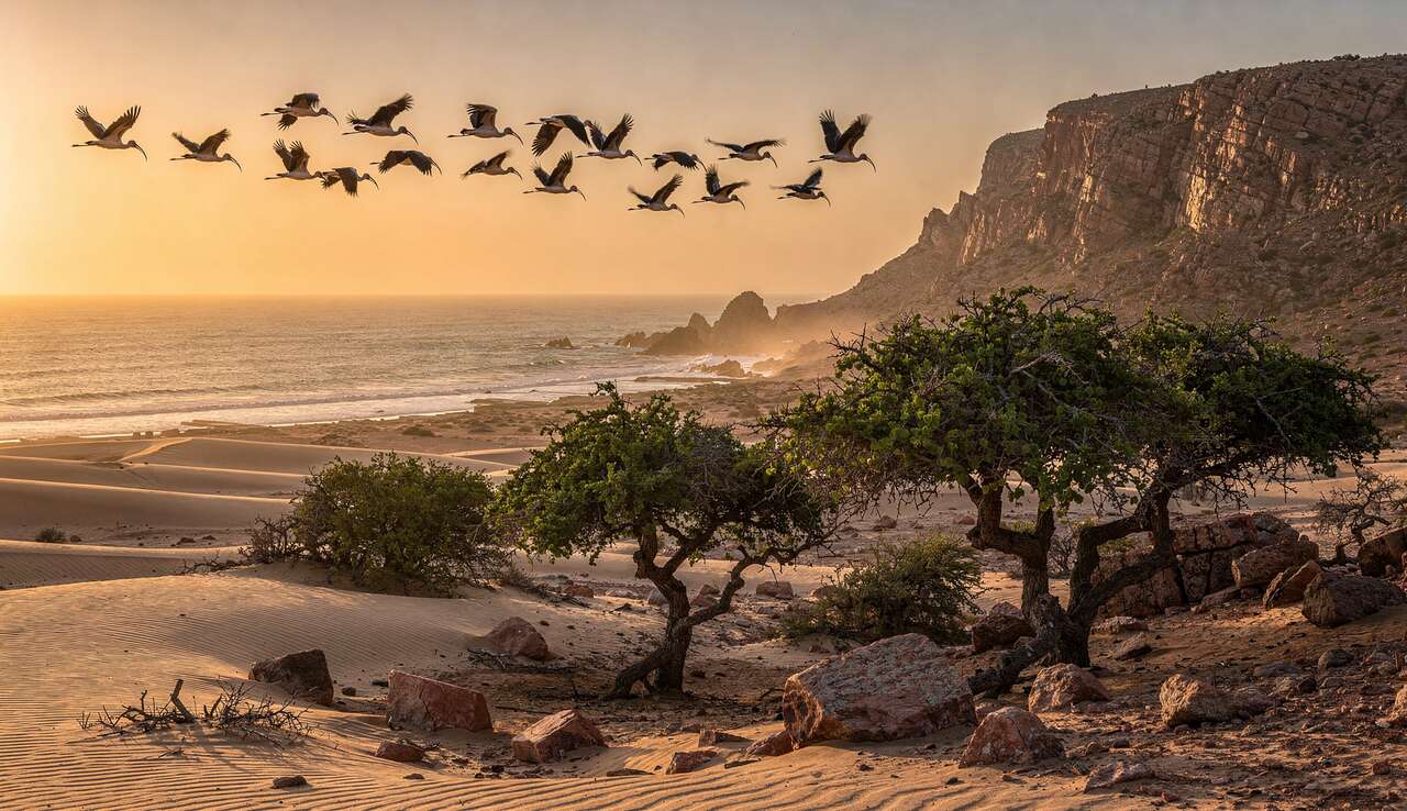 Découverte du Parc National Souss-Massa : trésor du Maroc