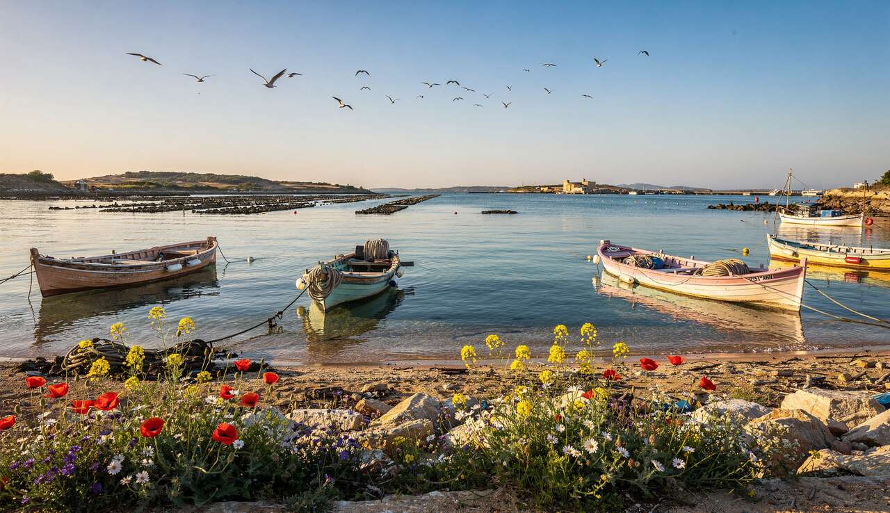 D&eacute;couverte des espaces naturels du bassin de thau