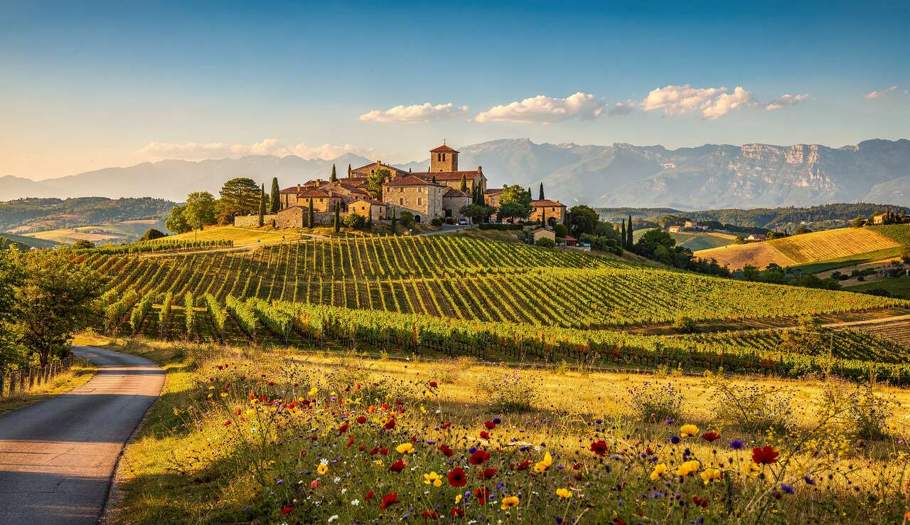 Une diversit&eacute; de paysages &agrave; couper le souffle