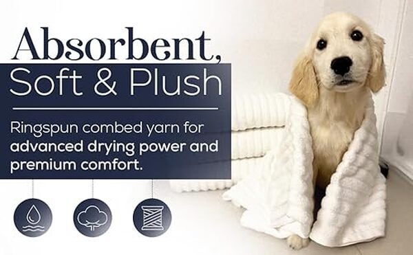 Découvrez notre analyse des serviettes de luxe Black & White Ultimate Luxury XL : confort, qualité et design au rendez-vous pour un bien-être absolu.