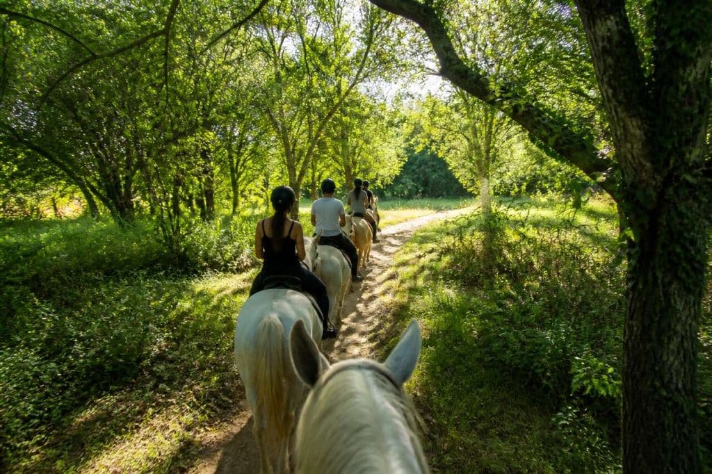 Balade à cheval dans le bois des Aresquiers