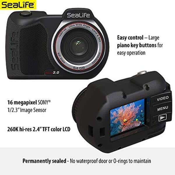 Découvrez notre test complet de la SeaLife Micro 3.0 PRO, la caméra sous-marine 4K performante pour vos aventures aquatiques. Qualité d'image exceptionnelle et durabilité garanties. 