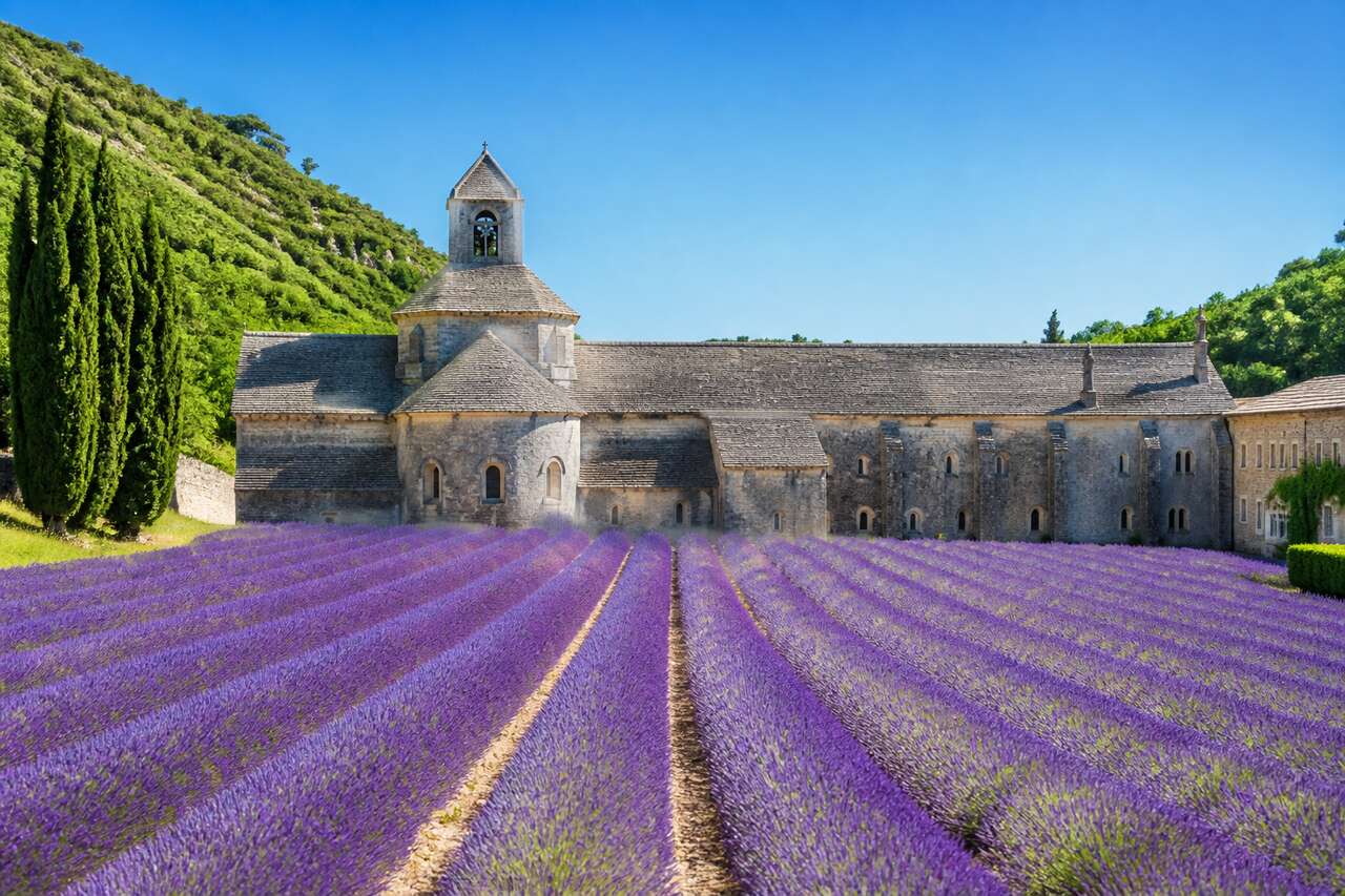 Les secrets de l'abbaye de Sénanque : consignes de respect et de sécurité pour une immersion sensorielle provençale