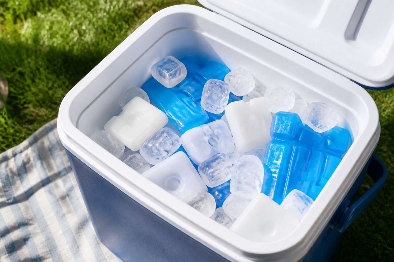 Blocs réfrigérants, pains de glace, glaçons: quoi utiliser et en quelle quantité Blocs réfrigérants, pains de glace, glaçons: quoi utiliser et en quelle quantité