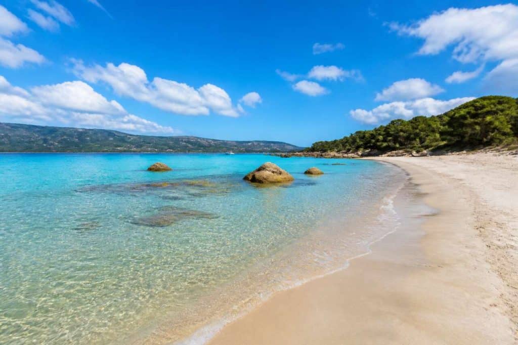 Échappée sauvage : la plage du Lotu, trésor caché de Corse