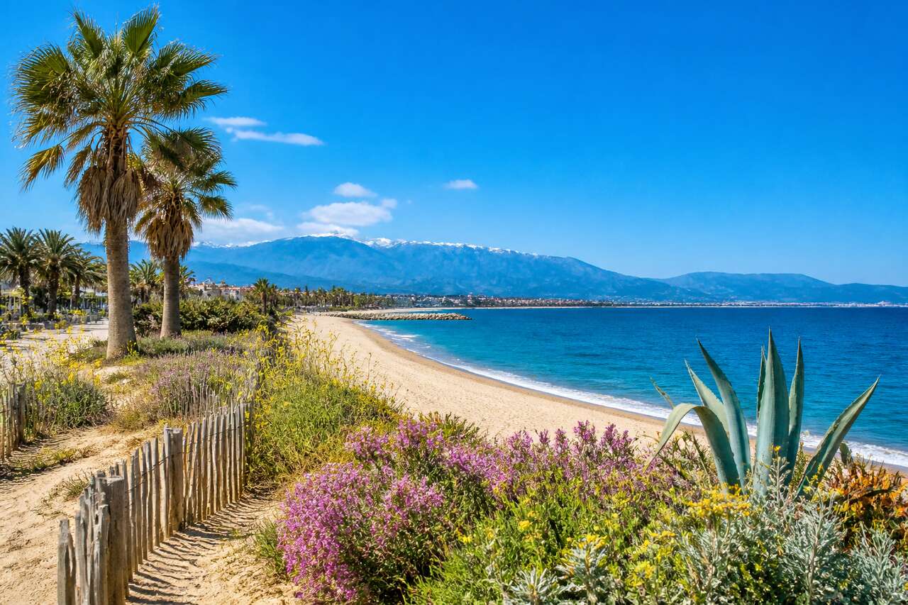 Escapade sensorielle à la plage de Canet-en-Roussillon : entre sable fin et senteurs de garrigue