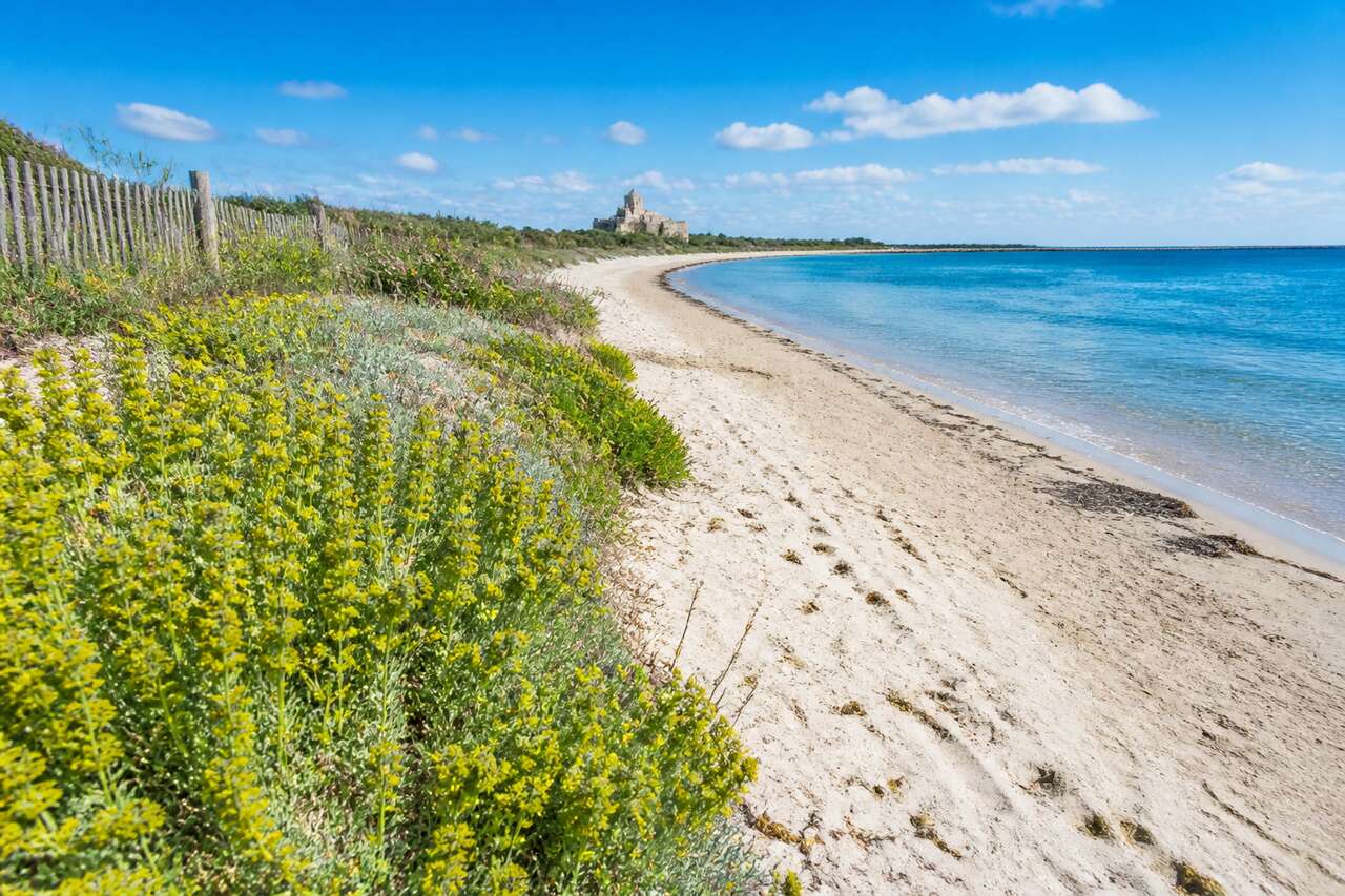 Évasion naturelle : découvrez la biodiversité de la plage de Maguelone
