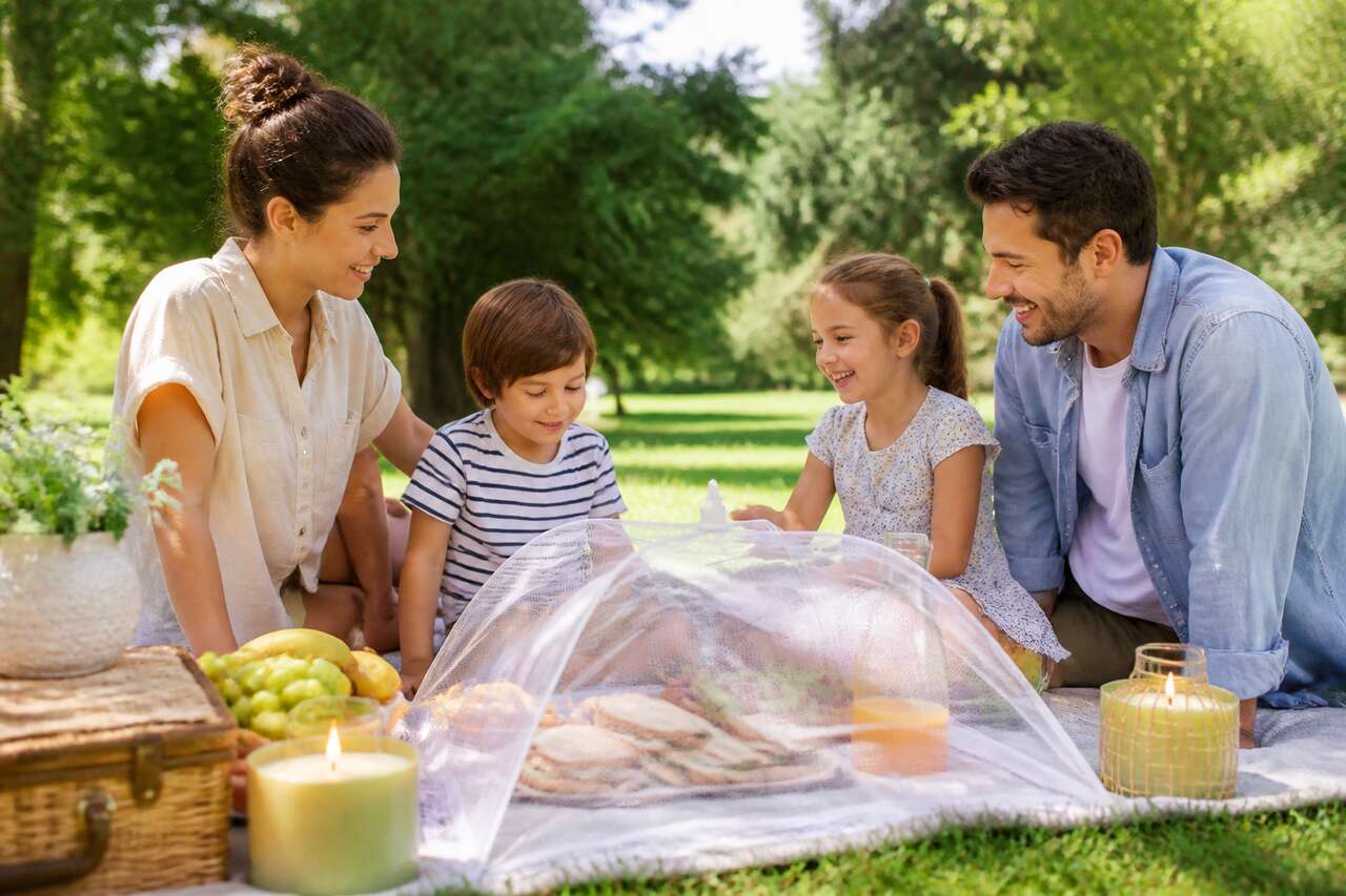 Comprendre quels insectes visent votre repas et pourquoi Comprendre quels insectes visent votre repas et pourquoi