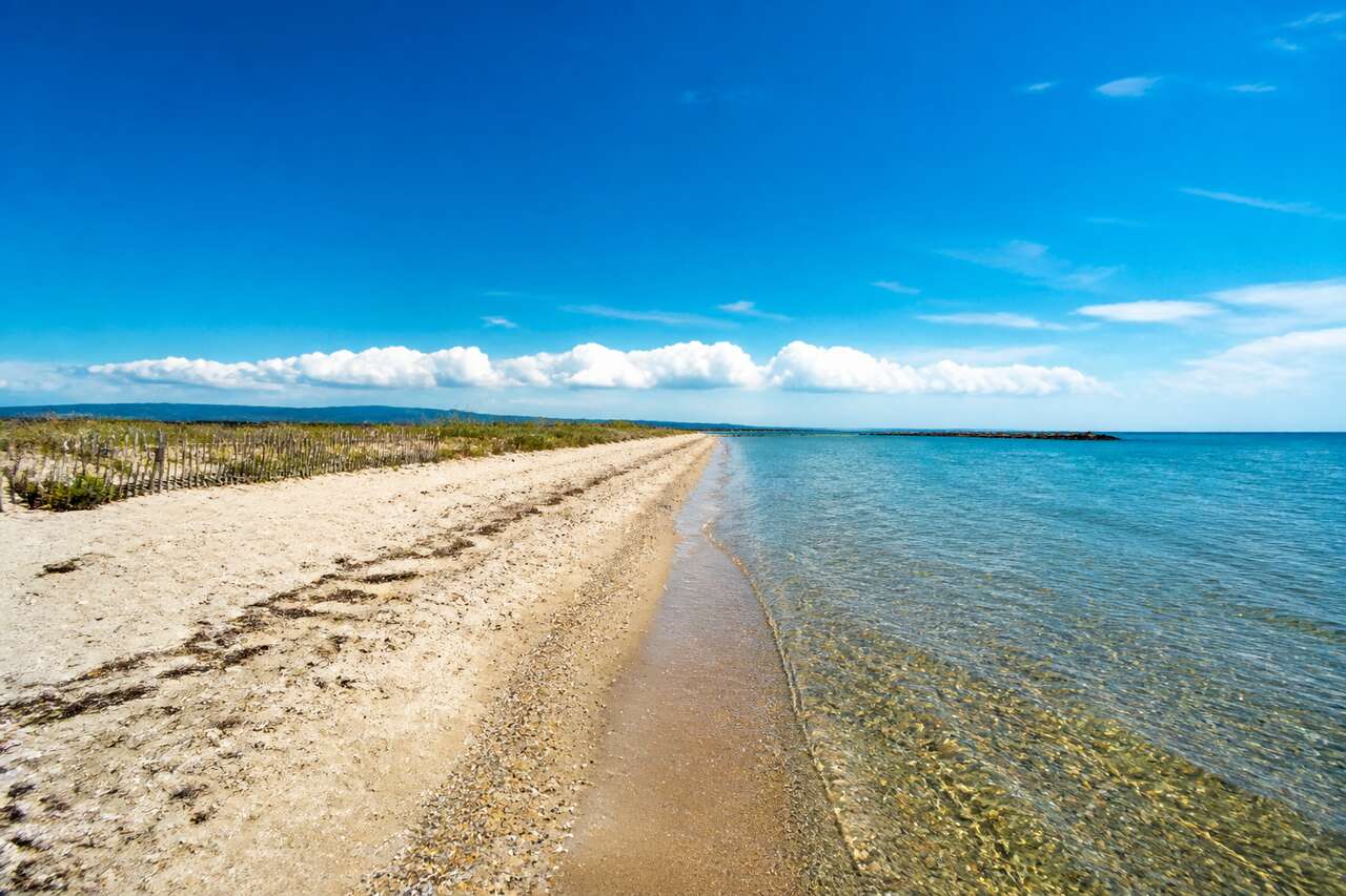 Sous le charme sauvage de la plage des aresquiers