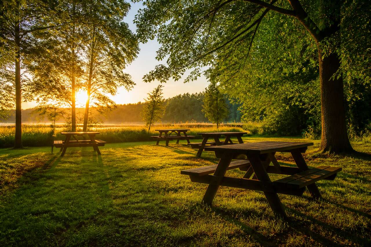 Comment arriver tôt pour avoir la meilleure place de pique-nique ?