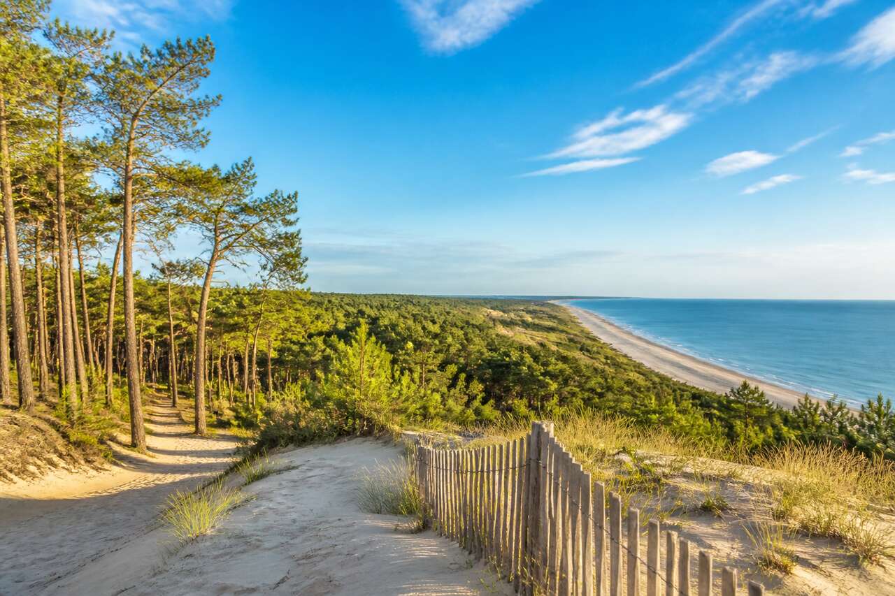 La Palmyre insolite : entre dunes et pinèdes, un havre de paix méconnu
