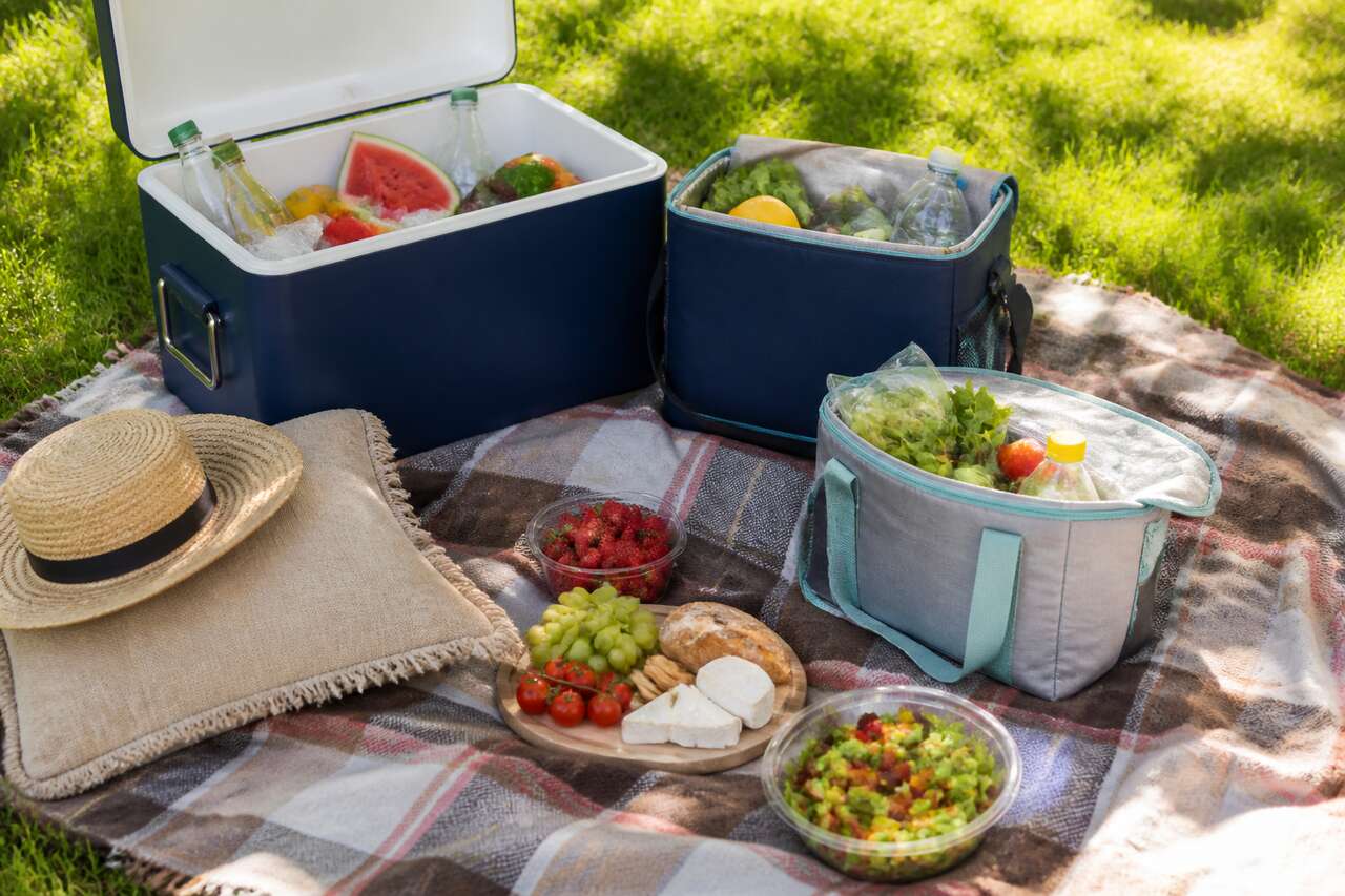 Guide pratique : respecter la chaîne du froid du pique-nique pour éviter les risques