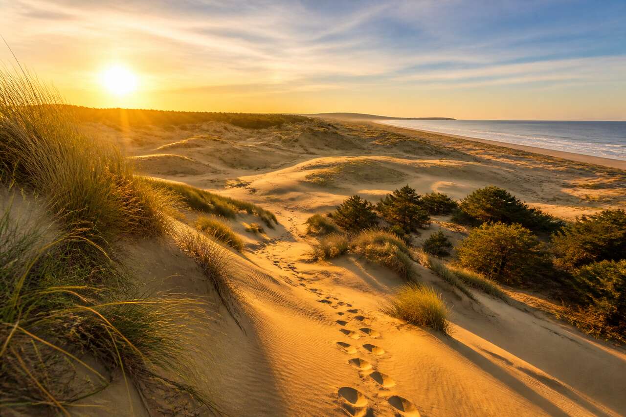 Découverte des dunes sauvages de carcans : un paradis caché pour les randonneurs