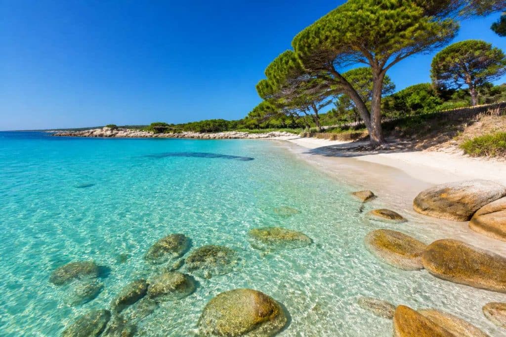 Le paradis caché des plages corses : découvrez Palombaggia sous un nouvel angle