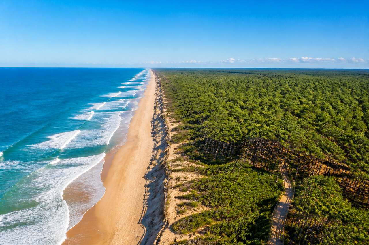 Lacanau : entre océan et pinède, un voyage au cœur de la nature sauvage