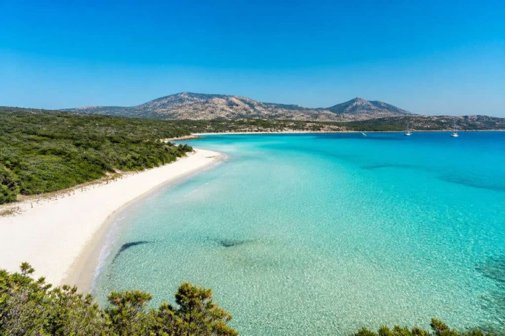 Saleccia : l'évasion vers la plage la plus secrète de Corse