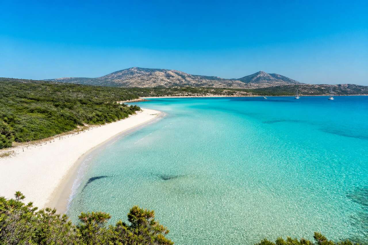 Saleccia : l'évasion vers la plage la plus secrète de Corse