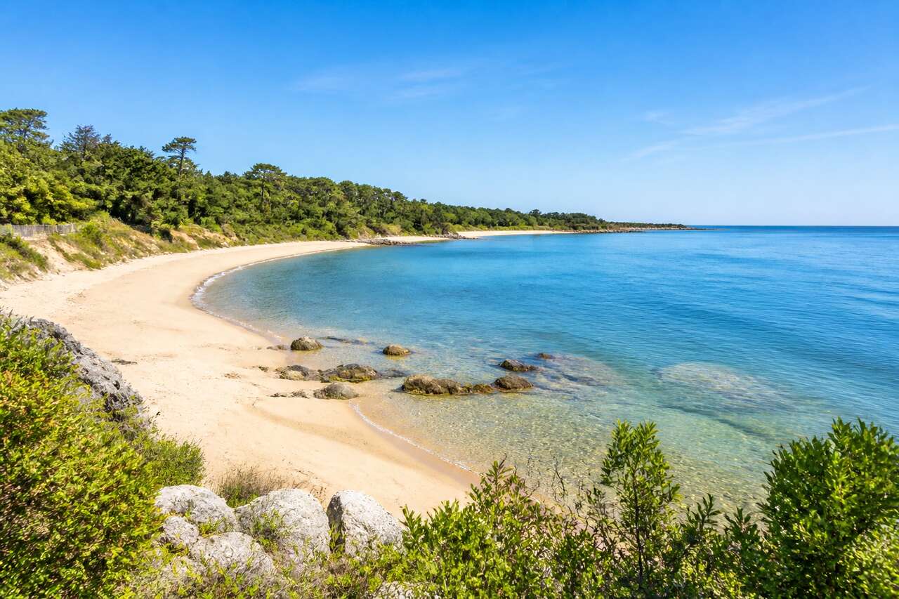 Explorer la quiétude de la plage de Gatseau : un paradis insulaire à l'île d'Oléron