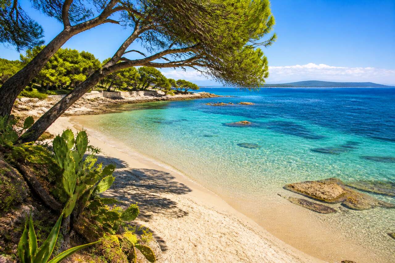 Découverte des trésors cachés de la plage de la Garoupe