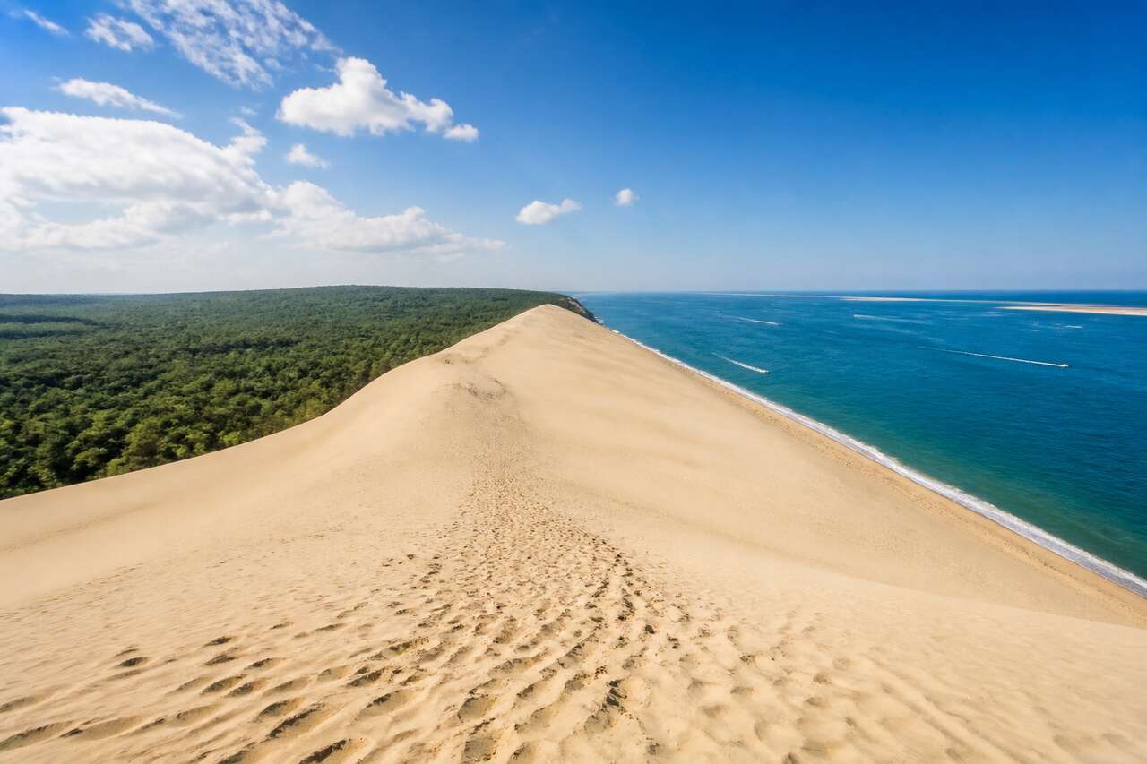 Les secrets de la dune du Pilat : entre mer et forêt