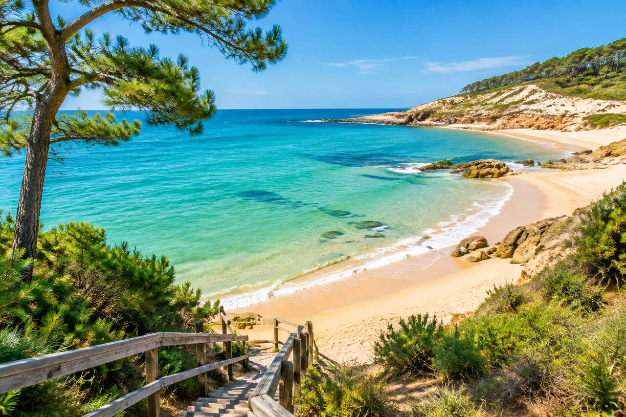 Exploration des plages secrètes de Moliets-et-Maa : trésors cachés du littoral landais
